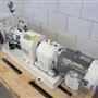 Rotary gear pump