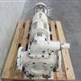 Rotary gear pump