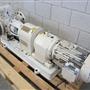 Rotary gear pump