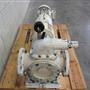 Rotary gear pump