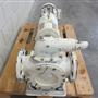 Rotary gear pump