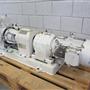 Rotary gear pump