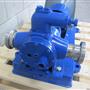 Rotary gear pump