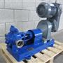 Rotary gear pump