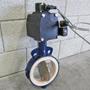 Butterfly Valve